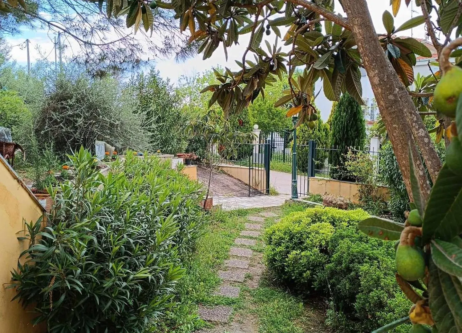 Seaview Oasis Apartment Nikiti